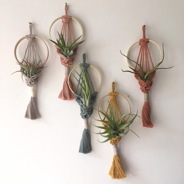 Navaris Suspension Macramé Pour Plante Lot De 3 - Mini Cordes Coton 26cm Avec Pot Et Plante Succulente Artificielle