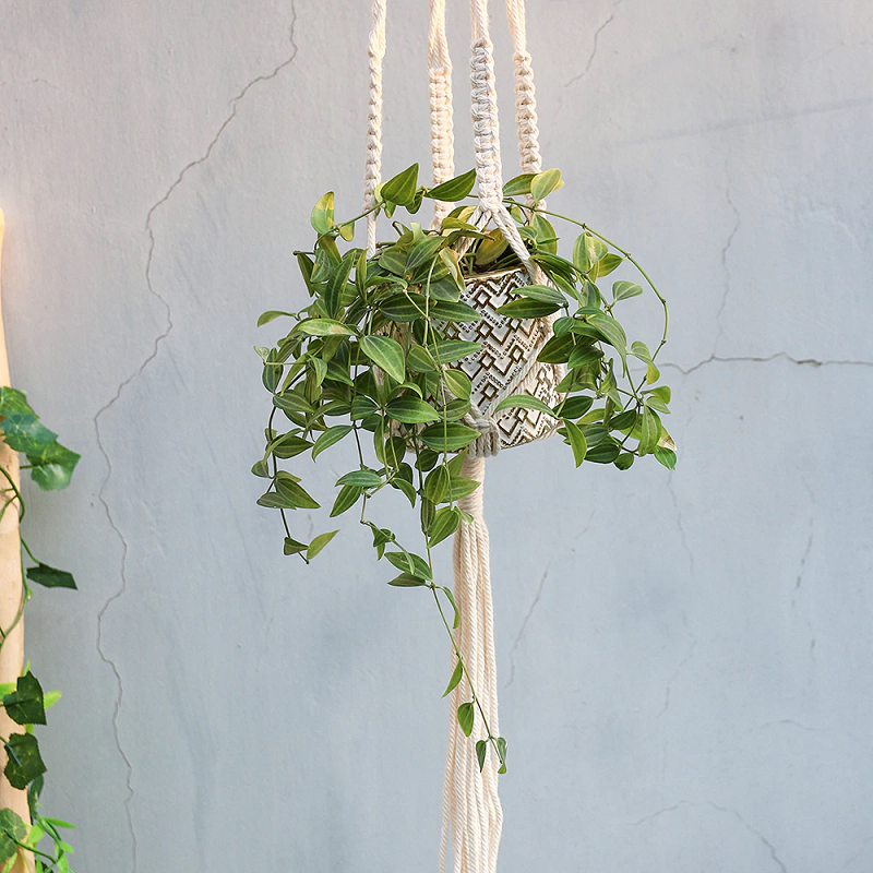 Suspension Plante,5pcs Suspension Plantes Macramé Support Pots Suspendu Suspension Plante,5pcs Suspension Plantes Macramé Support Pots Suspendu